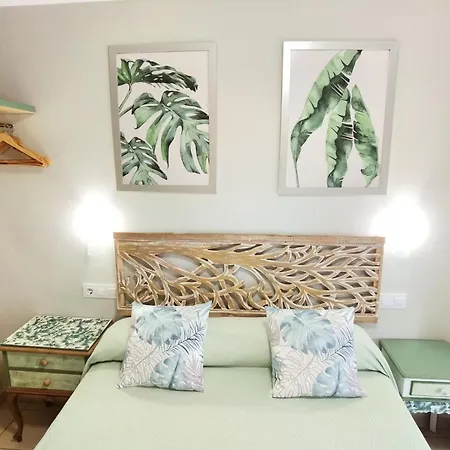 Hostal Rigau-3